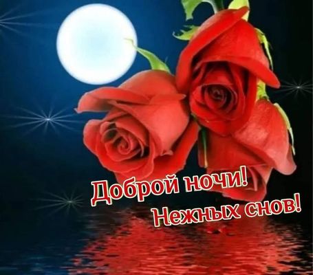 Открытка «Доброй ночи»: Доброй ночи: красивые розы и пожелание нежных снов. Тэги: Спокойной ночи, Спокойной ночи…