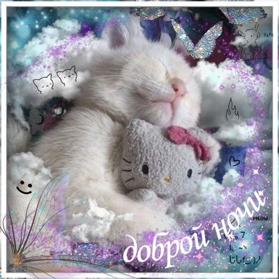 Открытка «Доброй ночи»: Спокойной и доброй ночи: нежный белый кот в облаках. Тэги: Спокойной ночи, Спокойной ночи…