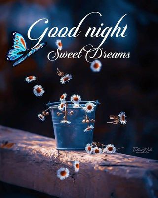 Открытка «Доброй ночи»: Спокойной ночи: «Волшебный сон» и ромашки. Тэги: Спокойной ночи, ночной, Спокойной ночи…