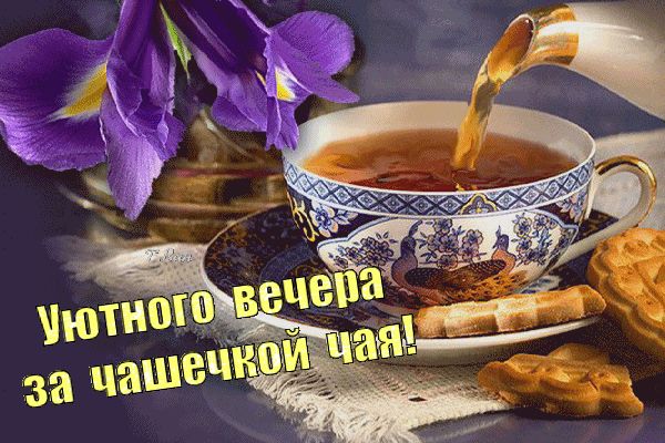 Открытка «Добрый вечер и пожелания»: Добрый вечер: уютное чаепитие и нежные ирисы. Тэги: Доброго вечера и хорошего на…