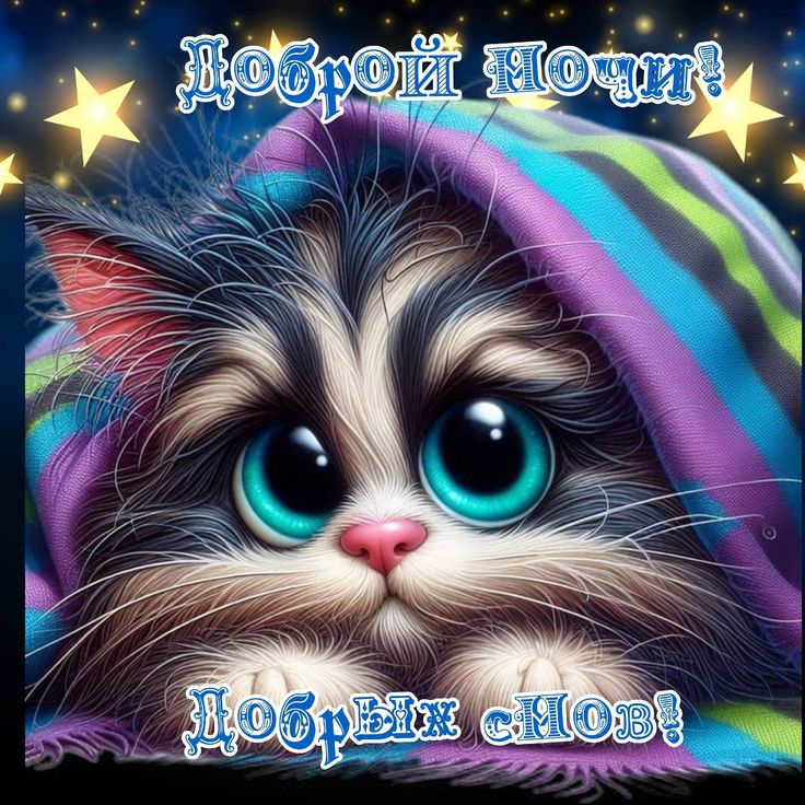 Открытка «Доброй ночи»: Доброй ночи: Милый котенок и пожелание добрых снов. Тэги: Спокойной ночи, Спокойной ночи…