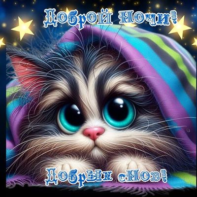 Открытка «Доброй ночи»: Доброй ночи: Милый котенок и пожелание добрых снов. Тэги: Спокойной ночи, Спокойной ночи…
