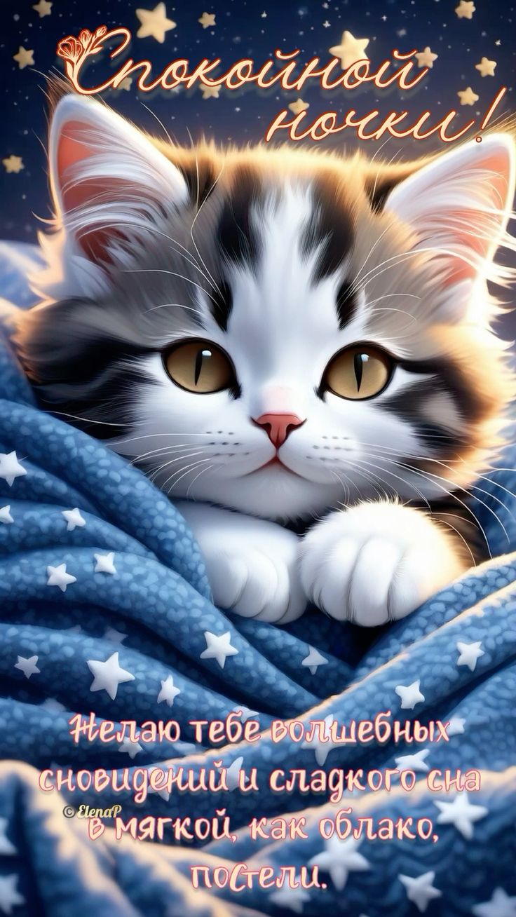 Открытка «Доброй ночи»: Спокойной ночи: Милый котик и волшебные сны. Тэги: Спокойной ночи, Спокойной ночи, с пожелани…