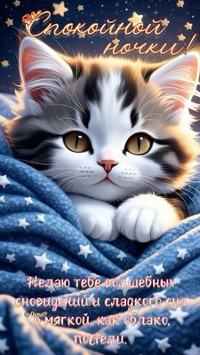 Открытка «Доброй ночи»: Спокойной ночи: Милый котик и волшебные сны. Тэги: Спокойной ночи, Спокойной ночи, с пожелани…