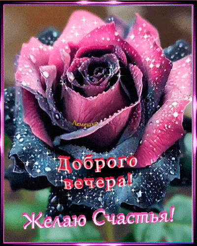 Открытка «Добрый вечер и пожелания»: Добрый вечер! Необычная роза и пожелание счастья. Тэги: Добрый вечер красивые…