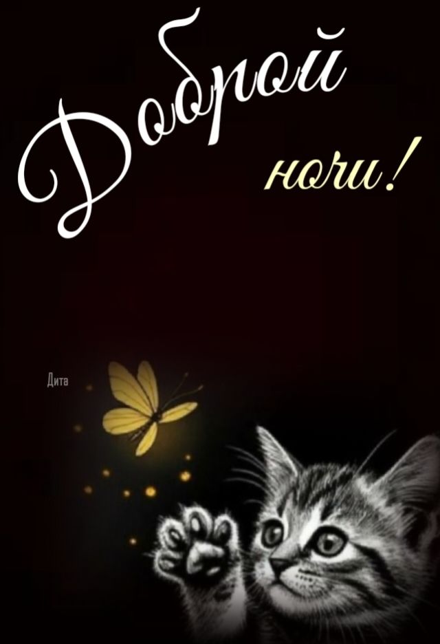 Открытка «Доброй ночи»: Спокойной и доброй ночи: милый котенок с бабочкой. Тэги: пожелание, кот, надпись, рисунок…