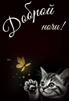 Открытка «Доброй ночи»: Спокойной и доброй ночи: милый котенок с бабочкой.