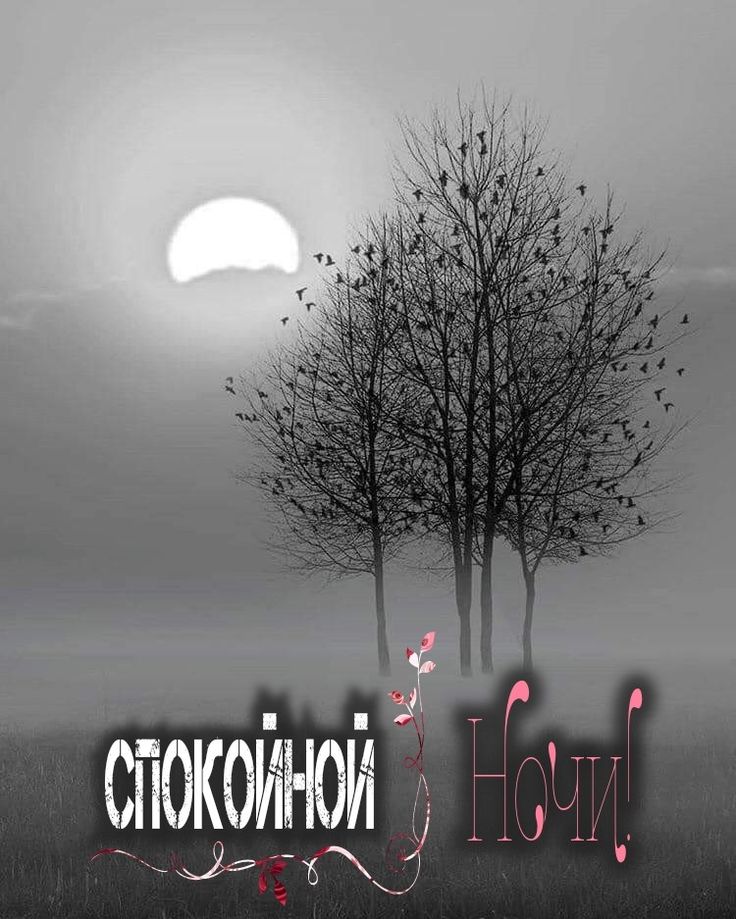Открытка «Доброй ночи»: Спокойной ночи: Лунная соната и птицы на ветвях. Тэги: Спокойной ночи, философский, Спокойной…