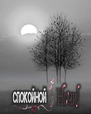 Открытка «Доброй ночи»: Спокойной ночи: Лунная соната и птицы на ветвях. Тэги: Спокойной ночи, философский, Спокойной…