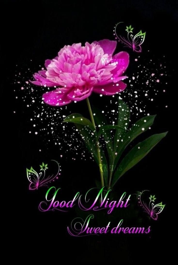 Открытка «Доброй ночи»: Доброй ночи: Нежный пион и сладкие сны. Тэги: Спокойной ночи, Спокойной ночи, красивые…