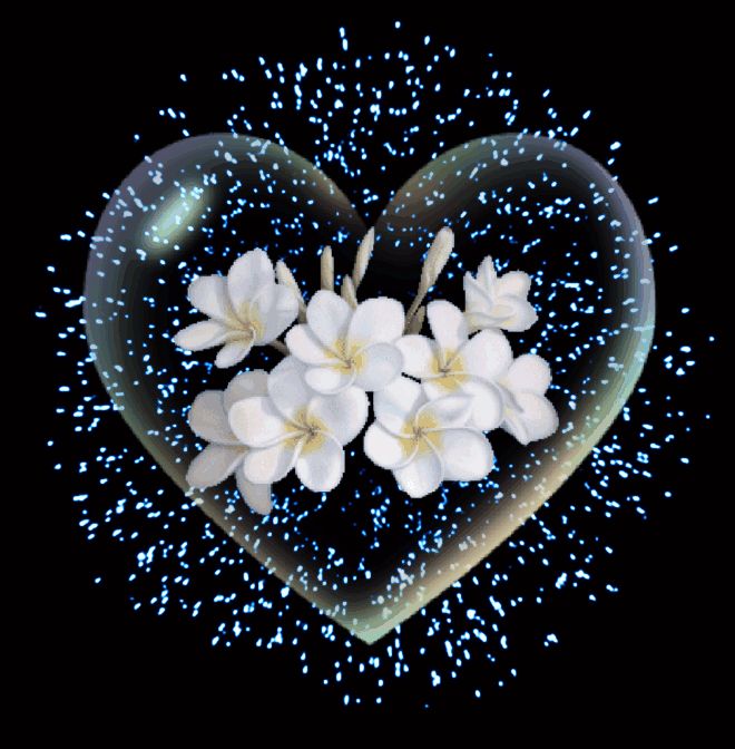 Открытка «Доброй ночи»: Спокойной ночи: Нежное сердце и белоснежные цветы. Тэги: Спокойной ночи, анимационный, Спокой…