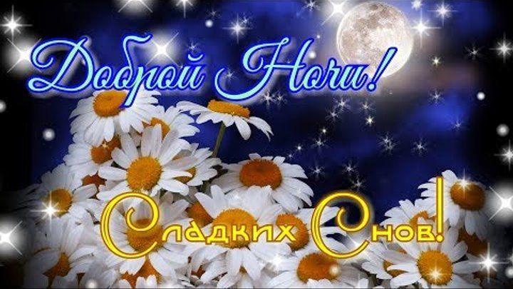 Открытка «Доброй ночи»: Доброй ночи и сладких снов: ромашки под луной. Тэги: Спокойной ночи, Спокойной ночи, с пожела…