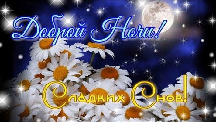 Открытка «Доброй ночи»: Доброй ночи и сладких снов: ромашки под луной. Тэги: Спокойной ночи, Спокойной ночи, с пожела…