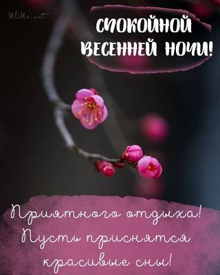 Открытка «Доброй ночи»: Спокойной весенней ночи: красивые сны и нежные цветы. Тэги: Спокойной ночи, Спокойной ночи…