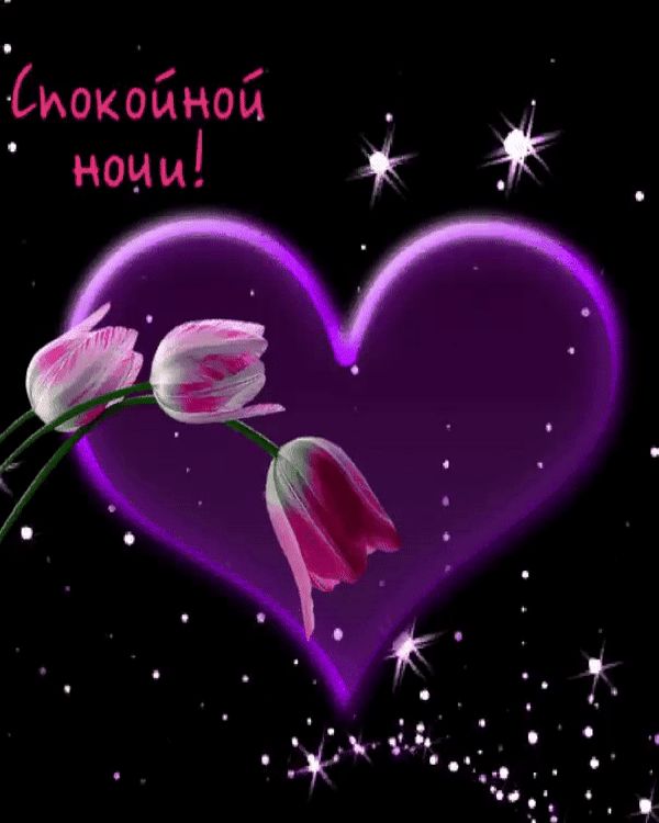 Открытка «Доброй ночи»: Спокойной ночи: фиолетовое сердце и нежные тюльпаны.
