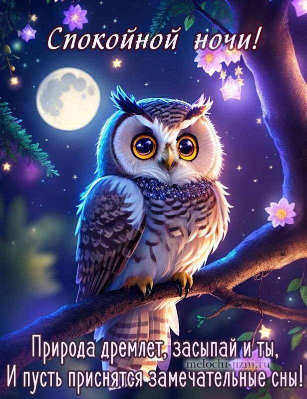Открытка «Доброй ночи»: Спокойной ночи: Мудрая сова и волшебные сны. Тэги: Спокойной ночи, Спокойной ночи, красивые…