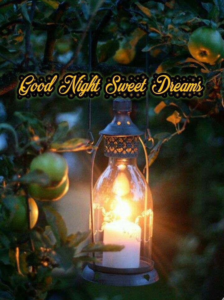 Открытка «Доброй ночи»: Спокойной ночи: уютный фонарь в яблоневом саду. Тэги: Спокойной ночи, Спокойной ночи, красивые…