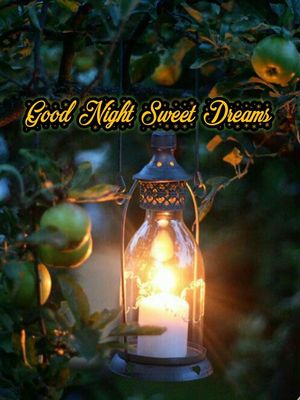 Открытка «Доброй ночи»: Спокойной ночи: уютный фонарь в яблоневом саду. Тэги: Спокойной ночи, Спокойной ночи, красивые…