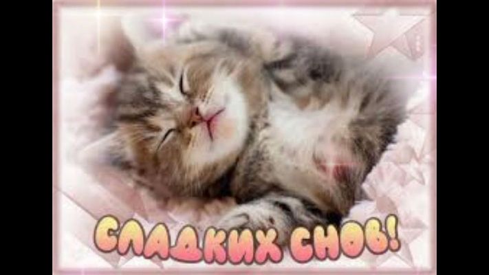 Открытка «Доброй ночи»: Спокойной ночи: милый котик желает сладких снов. Тэги: Спокойной ночи, Спокойной ночи, с поже…
