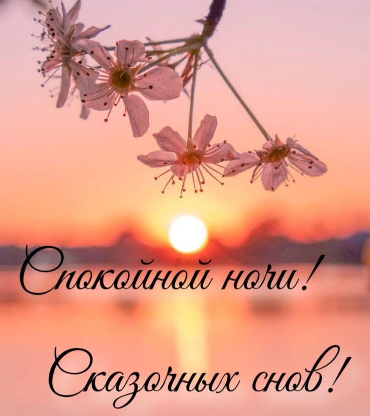 Открытка «Доброй ночи»: Доброй ночи и сказочных снов: красивая открытка с закатом. Тэги: Спокойной ночи, Спокойной но…