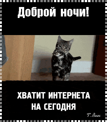 Открытка «Доброй ночи»: Доброй ночи: смешной кот и пожелание отдыха. Тэги: Спокойной ночи, Спокойной ночи, с пожелани…