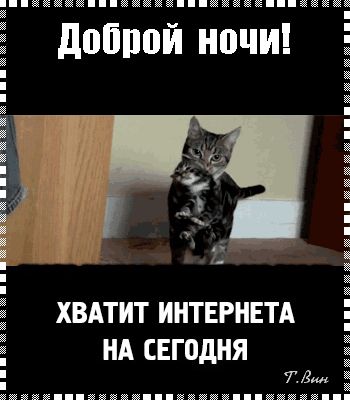 Открытка «Доброй ночи»: Доброй ночи: смешной кот и пожелание отдыха. Тэги: Спокойной ночи, Спокойной ночи, с пожелани…