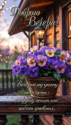 Открытка «Добрый вечер и пожелания»: Добрый вечер: «Уютные цветы на террасе». Тэги: Добрый вечер красивые, Доброго ве…
