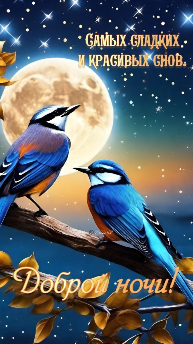 Открытка «Доброй ночи»: Доброй ночи: красивые птицы под сиянием луны. Тэги: Спокойной ночи, Спокойной ночи, красивые…