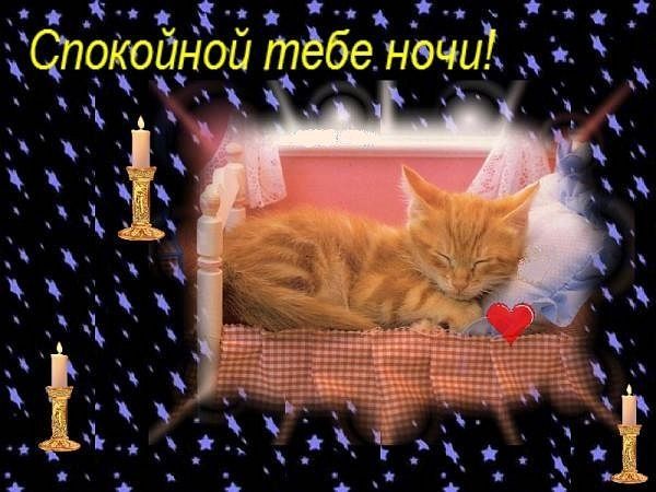 Открытка «Доброй ночи»: Спокойной ночи: «Сладкий сон рыжего котенка». Тэги: Спокойной ночи, Спокойной ночи, с пожелан…