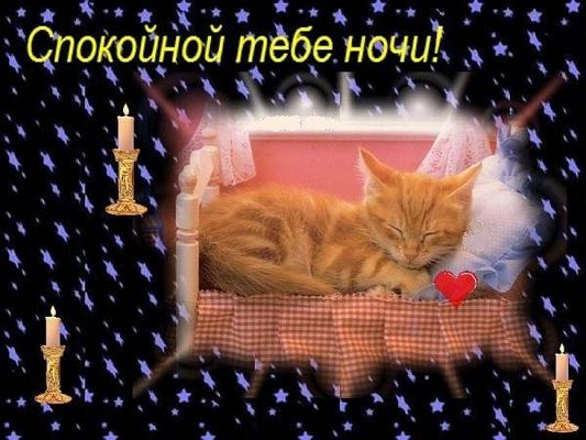 Открытка «Доброй ночи»: Спокойной ночи: «Сладкий сон рыжего котенка». Тэги: Спокойной ночи, Спокойной ночи, с пожелан…