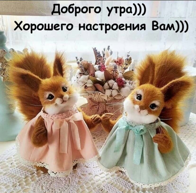 Открытка «С добрым утром»: Доброе утро с очаровательными белочками. Тэги: животное, пожелание, позитивная, отличное н…