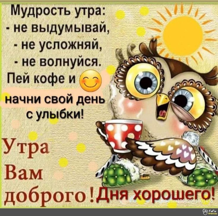 Открытка «С добрым утром»: С добрым утром! Мудрая сова с чашкой кофе. Тэги: животное, пожелание, отличное настроение…