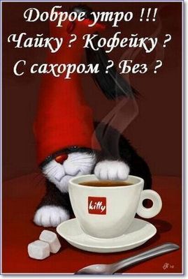 Открытка «С добрым утром»: С добрым утром! Чайку? Кофейку? С сахаром?. Тэги: кот, пожелание, позитивная, прикольная…