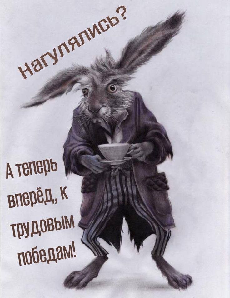 Открытка «С добрым утром»: С добрым утром! Вперёд, к трудовым победам!. Тэги: хорошего дня, животное, пожелание…