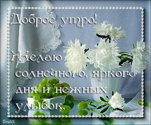 Открытка «С добрым утром»: Доброе утро! Солнечного дня и нежных улыбок. Тэги: хорошего дня, пожелание, отличное настр…