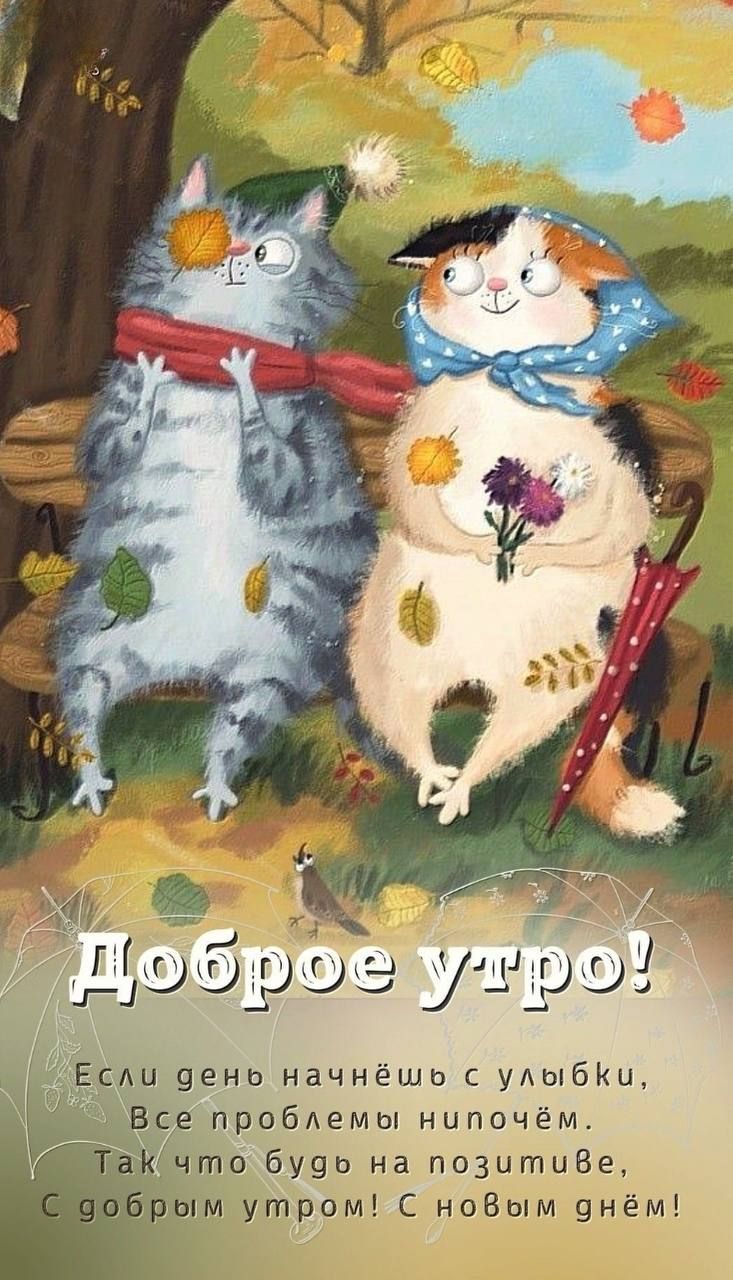 Открытка «С добрым утром»: Милые котики желают доброго утра и позитива. Тэги: хорошего дня, кот, животное, пожелание…