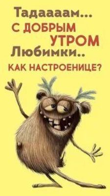 Открытка «С добрым утром»: Тадаааам! С добрым утром, Любимки!. Тэги: пожелание, отличное настроение, юмор, улыбка…