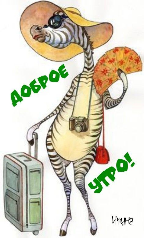 Открытка «С добрым утром»: Позитивное доброе утро от зебры-путешественницы. Тэги: С добрым, летним утром, С добрым ут…