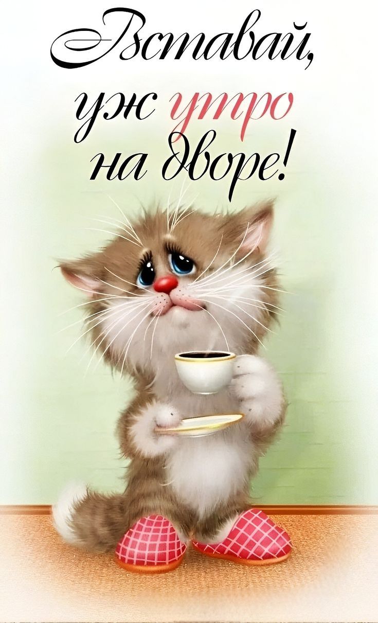 Открытка «С добрым утром»: Вставай, уж утро на дворе! Милый котёнок с кофе.. Тэги: кот, животное, пожелание, юмор…