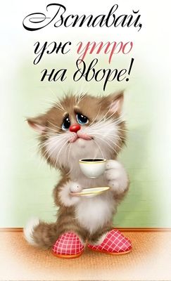 Открытка «С добрым утром»: Вставай, уж утро на дворе! Милый котёнок с кофе.. Тэги: кот, животное, пожелание, юмор…