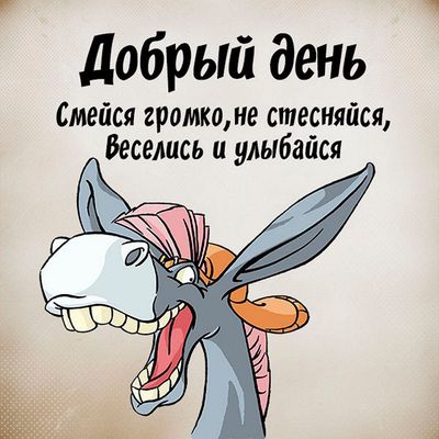 Открытка «Добрый день»: С добрым утром! Смейся громко, не стесняйся. Тэги: Добрый день и добрые пожелания, Добрый день…