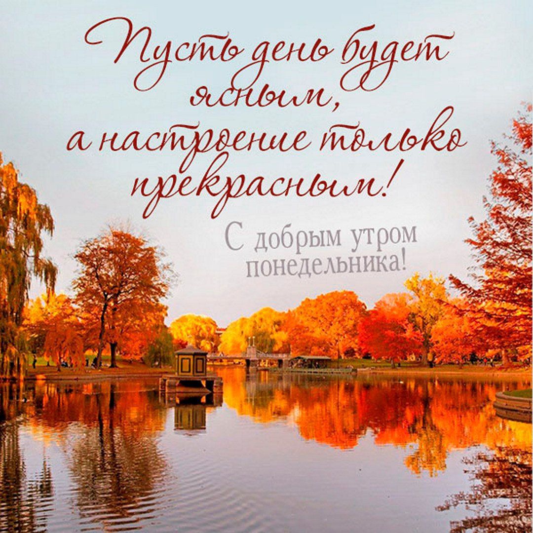 Открытка «С добрым утром»: Ясного дня и прекрасного настроения в понедельник. Тэги: Добрый день, С добрым осенним утр…