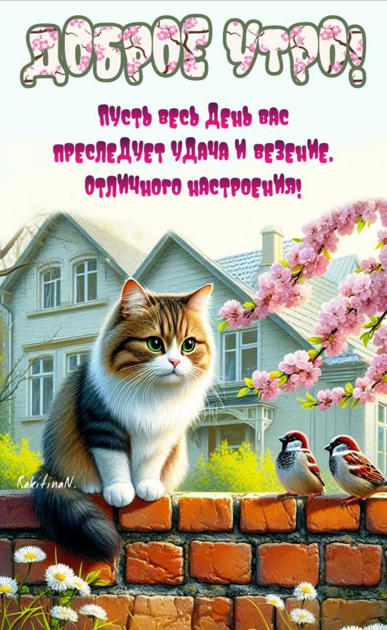 Открытка «С добрым утром»: Пушистый кот и весеннее утро: удачи и настроения!. Тэги: кот, животное, пожелание, отлично…