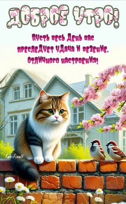 Открытка «С добрым утром»: Пушистый кот и весеннее утро: удачи и настроения!. Тэги: кот, животное, пожелание, отлично…