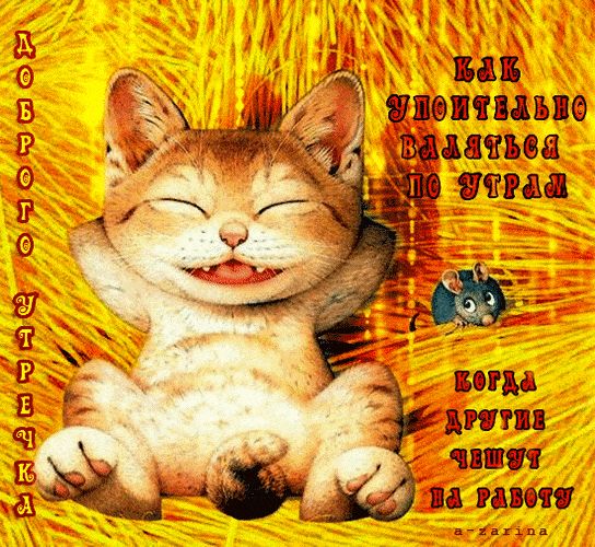 Открытка «С добрым утром»: С добрым утром! Блаженство кота и весёлая мышка. Тэги: хорошего дня, кот, животное, пожела…