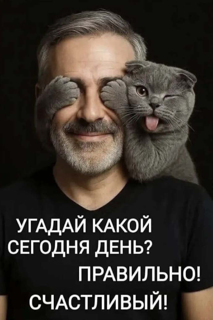 Открытка «С добрым утром»: С добрым утром: счастливый день с котом и улыбкой!. Тэги: кот, животное, пожелание, юмор…