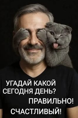 Открытка «С добрым утром»: С добрым утром: счастливый день с котом и улыбкой!. Тэги: кот, животное, пожелание, юмор…