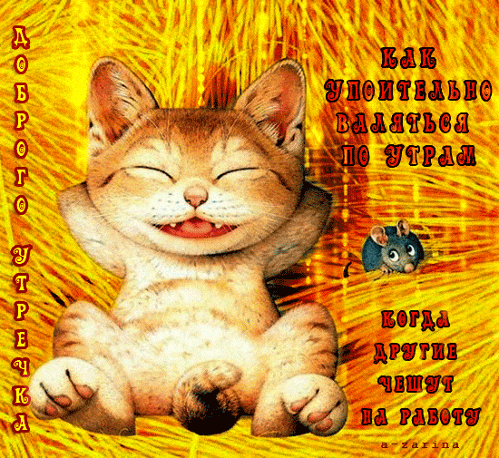Открытка «С добрым утром»: С добрым утром: кот валяется, пока другие на работу!. Тэги: хорошего дня, кот, животное…