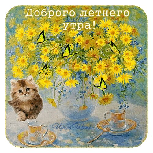 Открытка «С добрым утром»: Доброго летнего утра: милый котенок и яркие цветы. Тэги: кот, животное, пожелание, позитив…