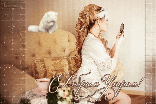Открытка «С добрым утром»: С Добрым Утром! Нежная красота и пушистый друг. Тэги: кот, животное, пожелание, позитивная…